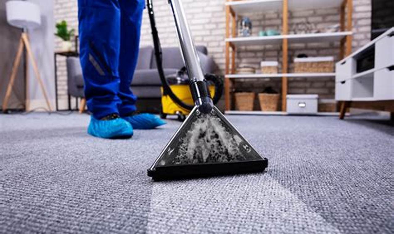 Lincoln Best Carpet Cleaning In Spring 2024