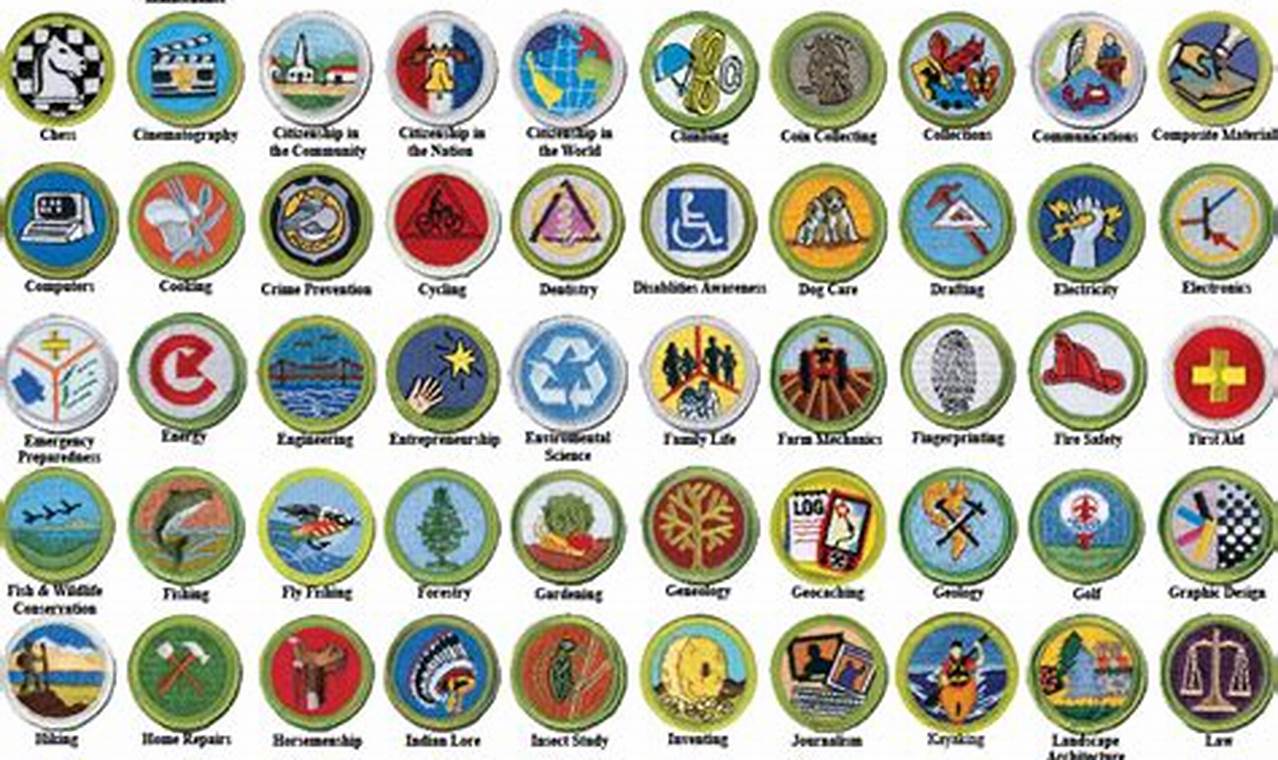 List Of Merit Badges Pdf 2024