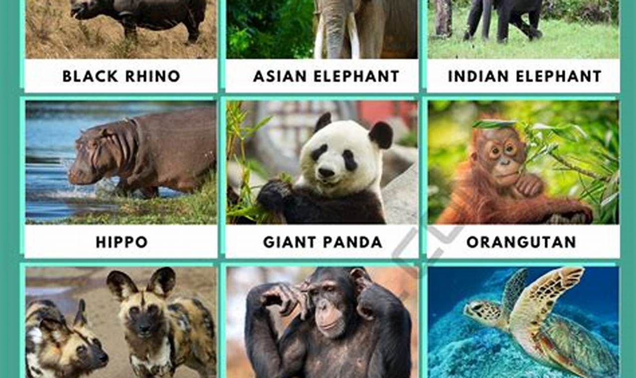 List Of Top 10 Endangered Species Of Animals In Africa
