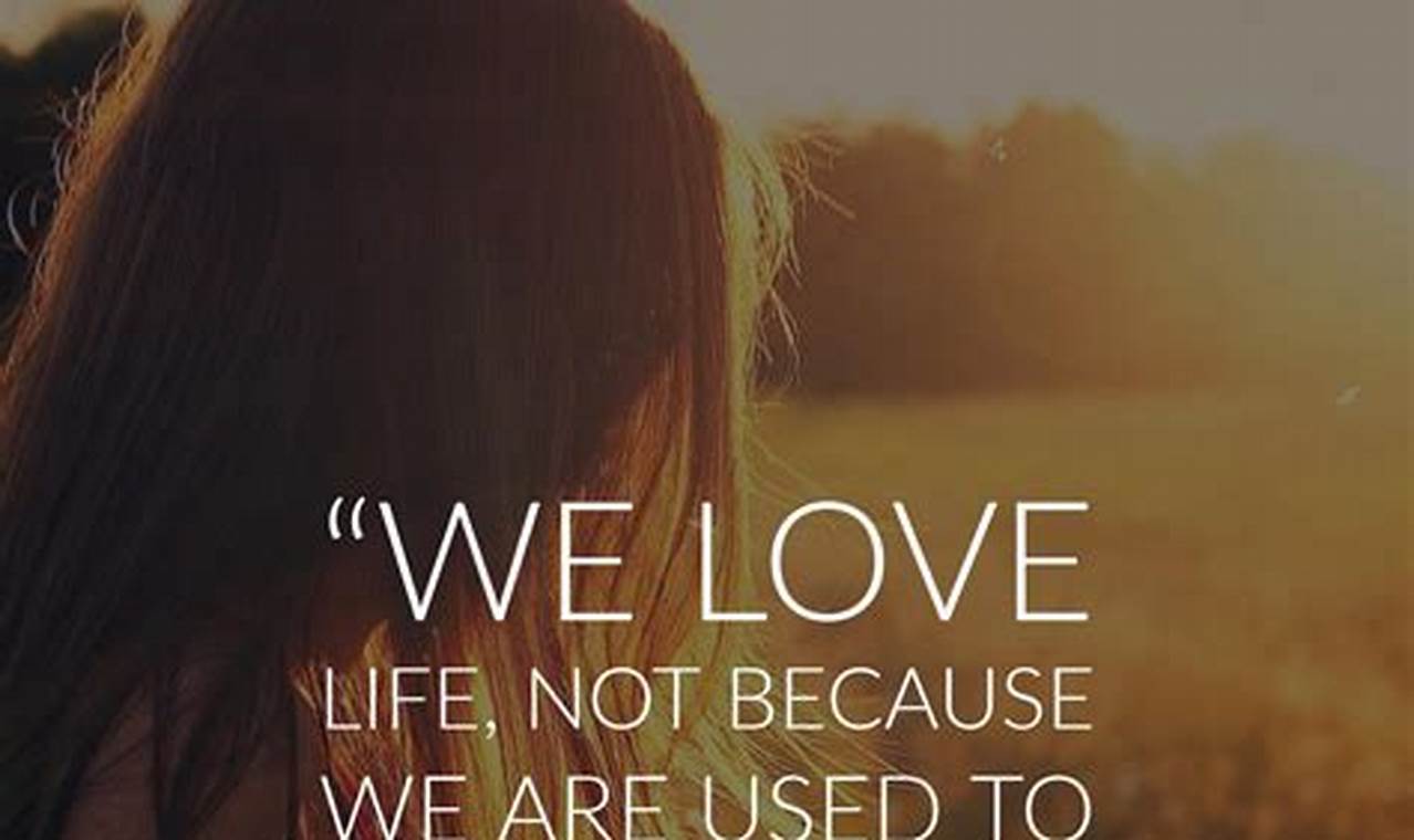 Live Life Love Quotes And Sayings