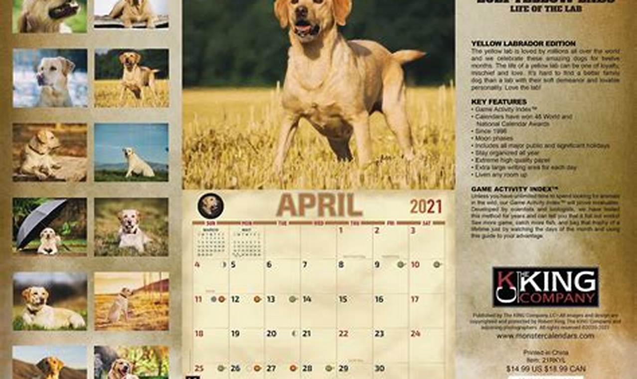 Loki The Wolf Dog 2024 Calendar Week