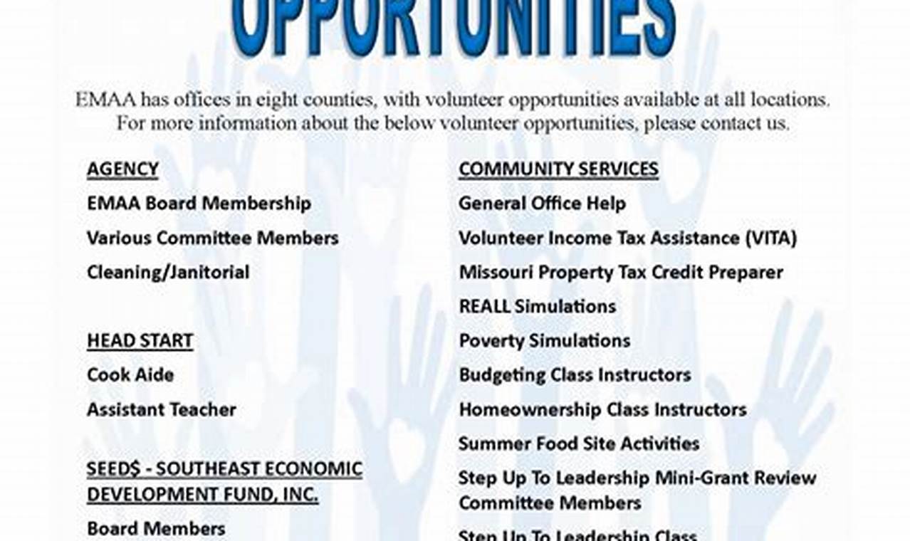 Long Island Volunteer Opportunities 2024