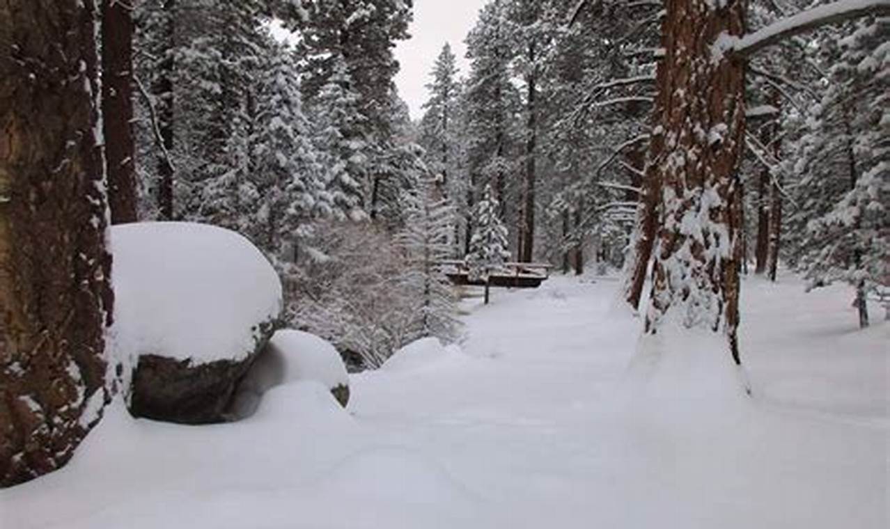 Lugares Con Nieve En California 2024