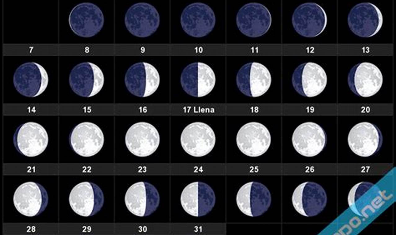 Luna Nueva Octubre 2024