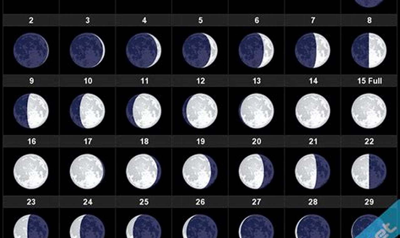 Lunar Calendar December 2024