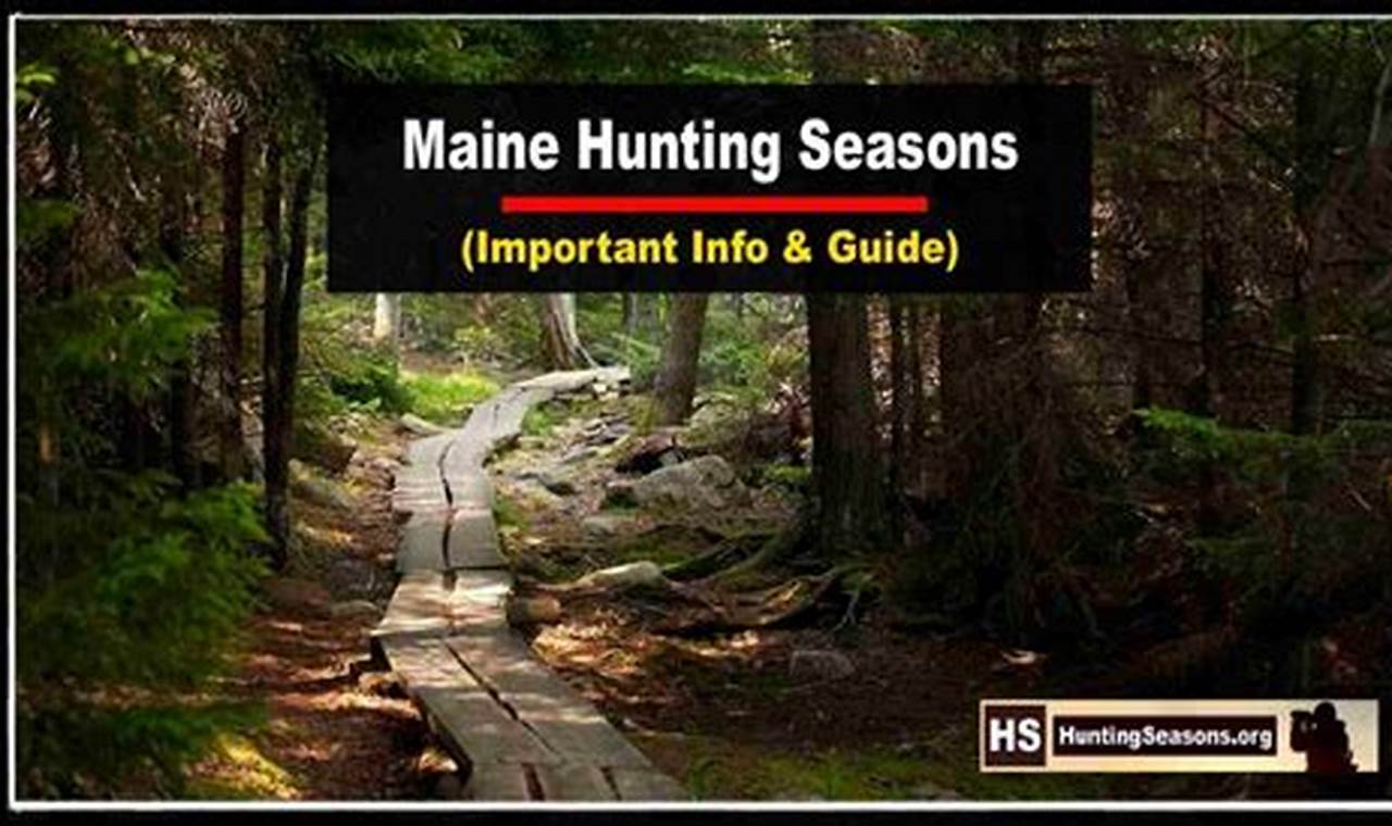Maine Hunting Season 2024 For Deer