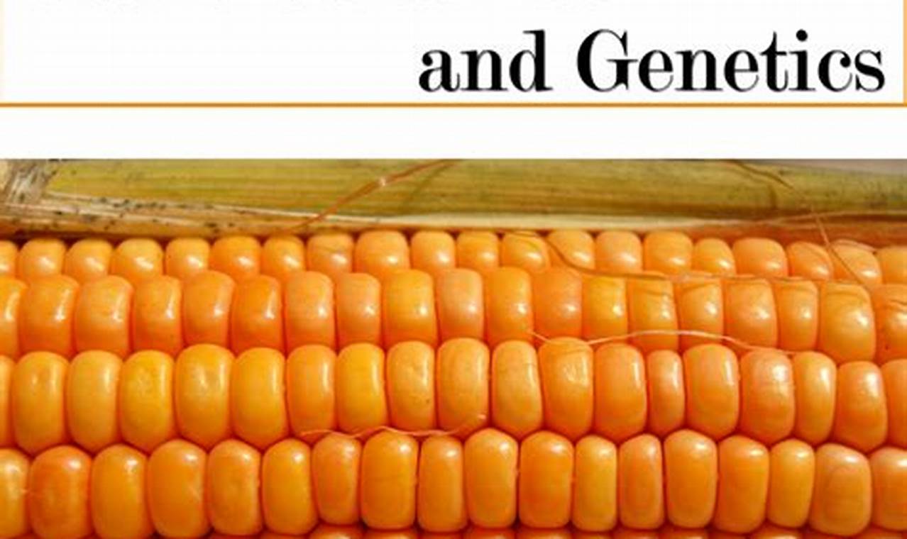 Maize Genetics Meeting 2024