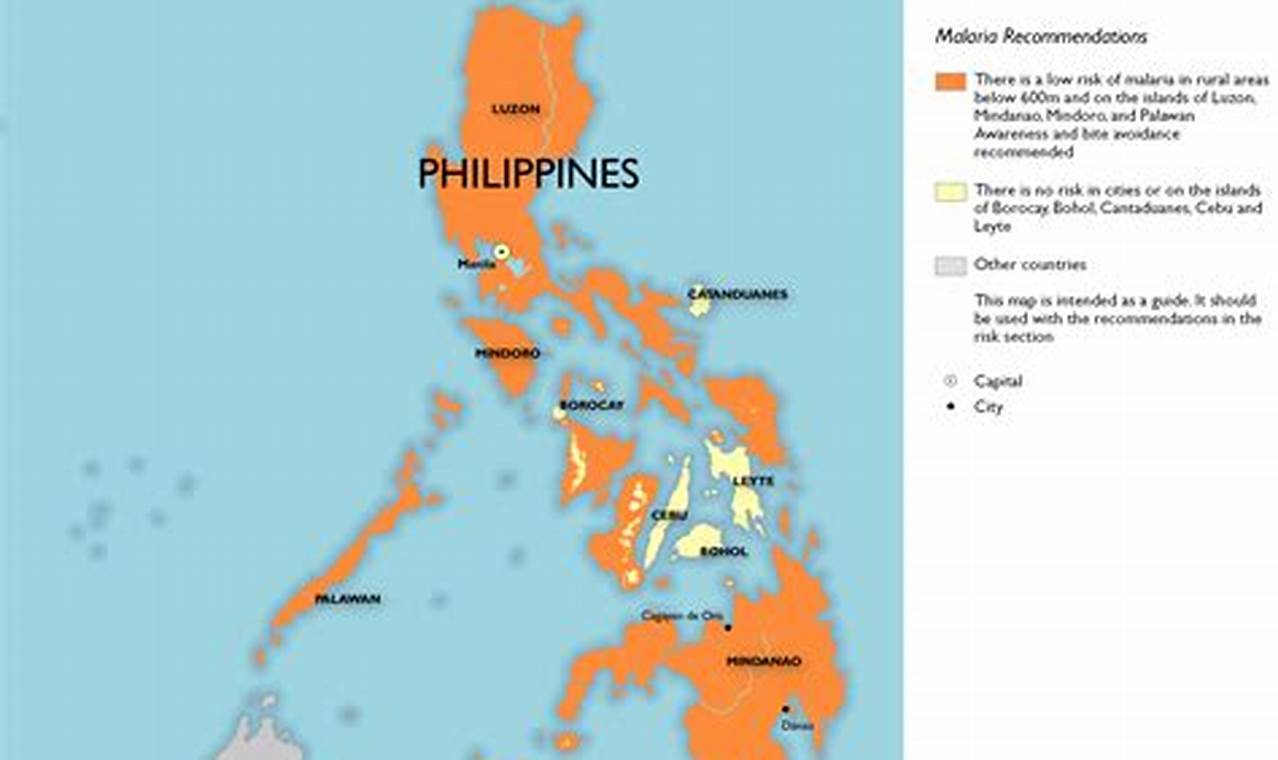 Malaria In The Philippines 2024