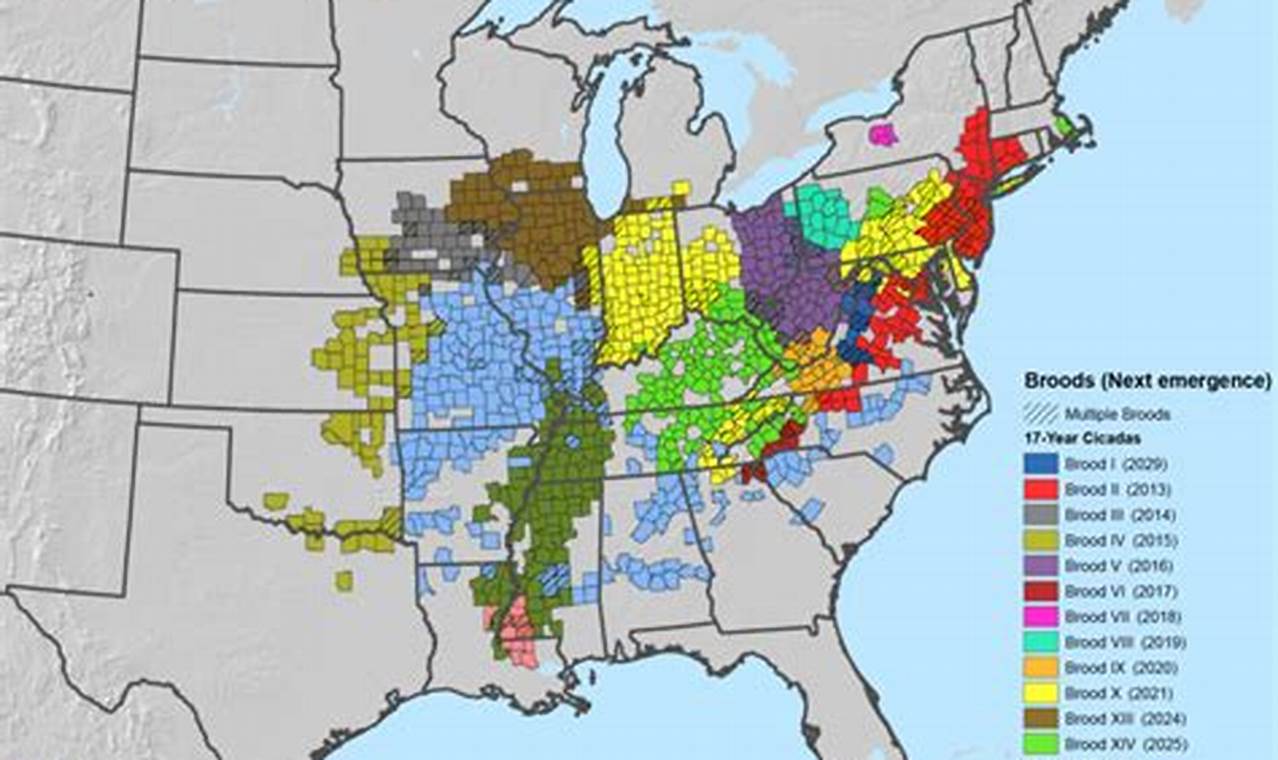 Map Of Cicadas 2024