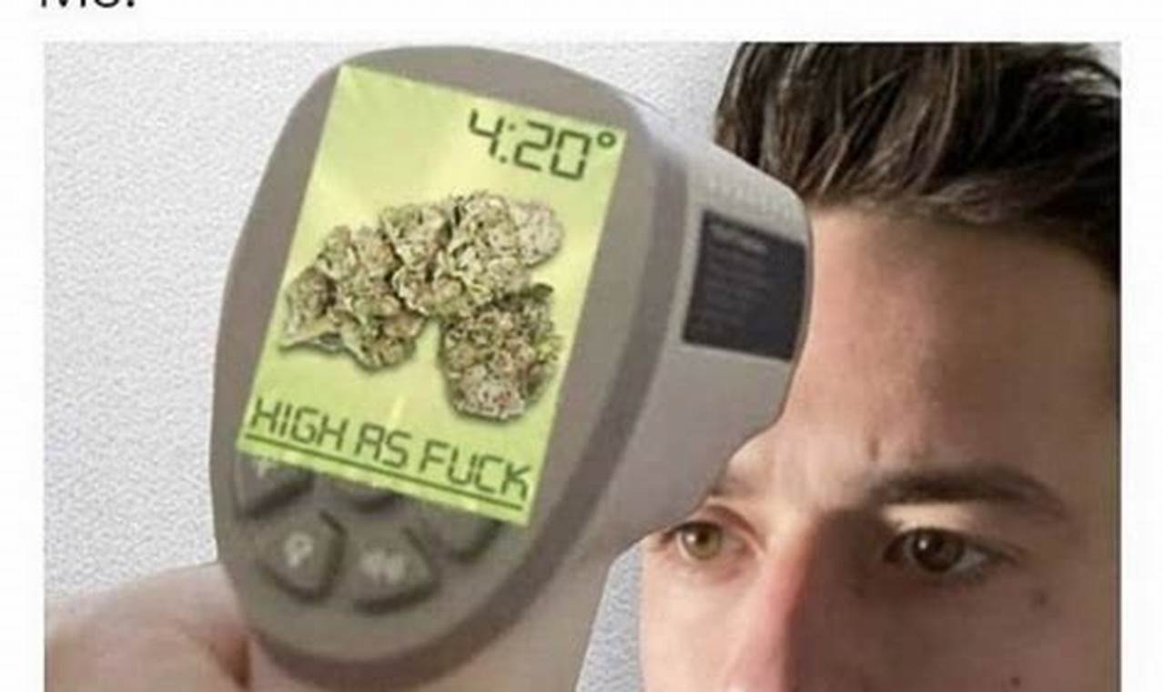 Marijuana Memes 2024