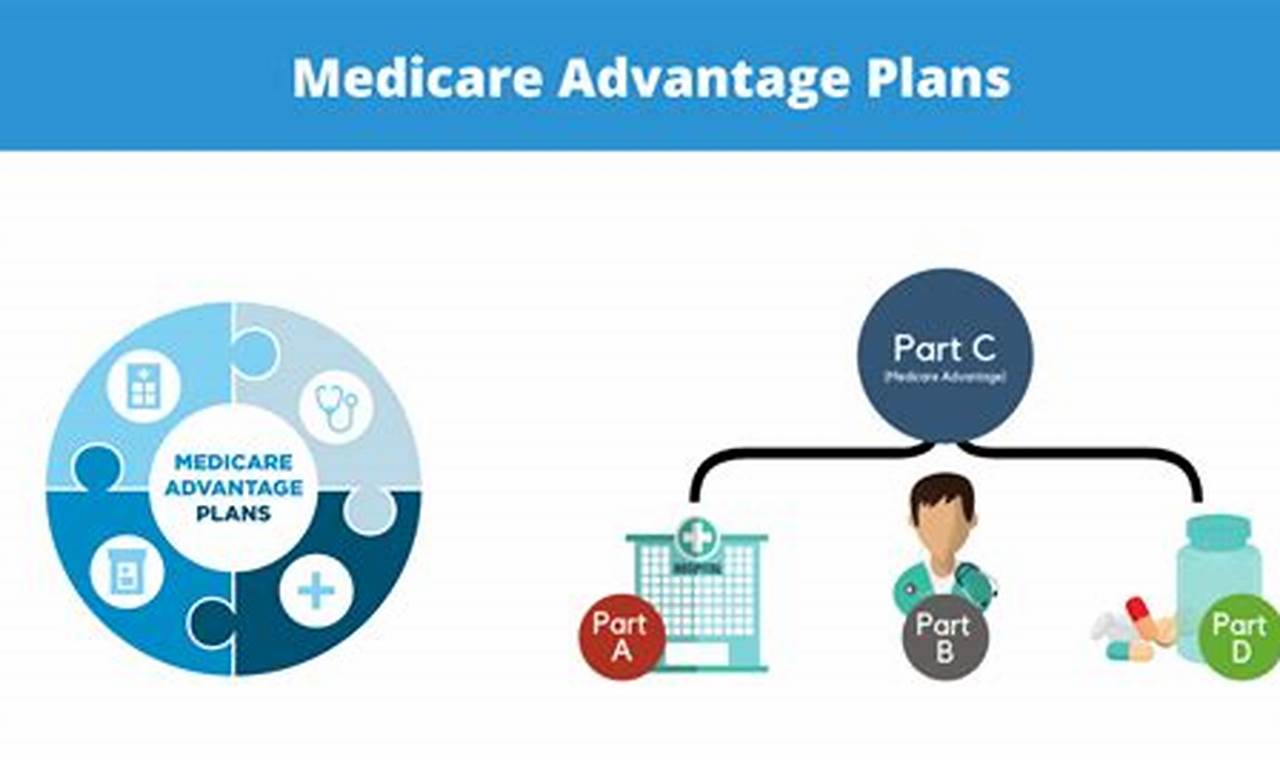 Medical Mutual Advantage Plans 2024