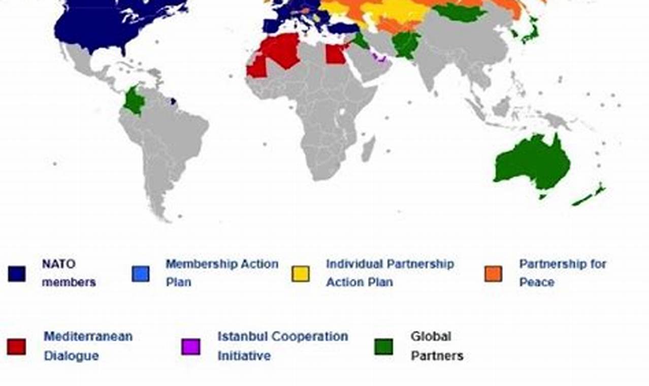 Members Of Nato 2024