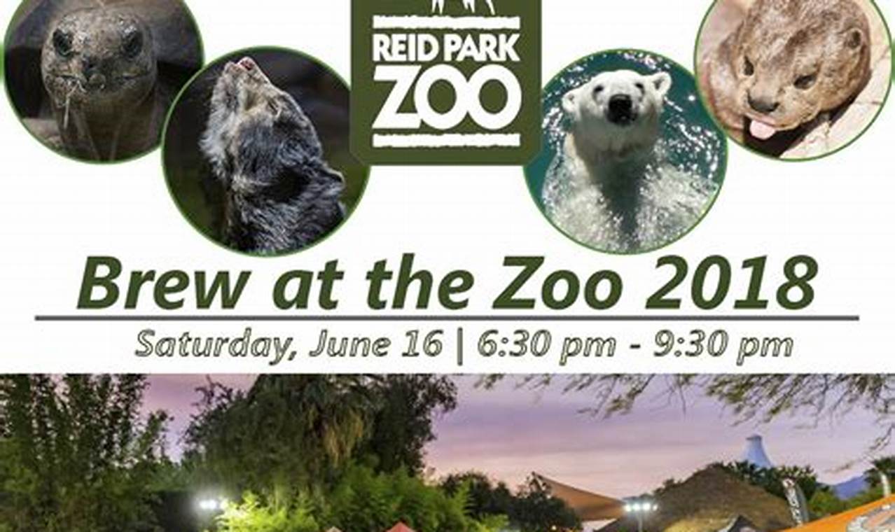 Memphis Zoo Brew 2024 Tacoma