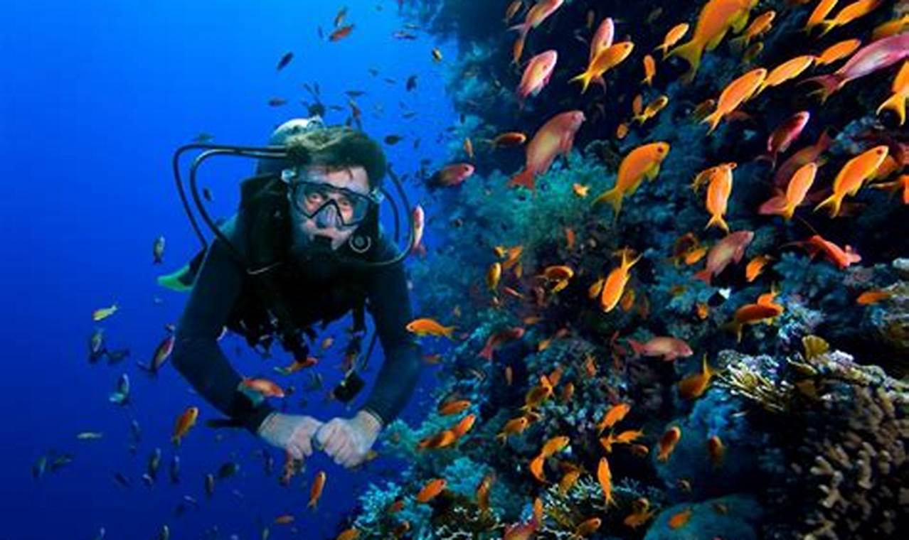 Menaklukkan Pesona Lautan: 10 Spot Diving Terbaik untuk Para Pecinta Bawah Air!