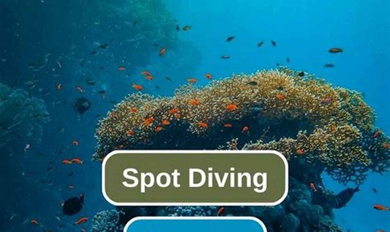 Mengenal Keindahan Bawah Laut Dunia: 10 Spot Diving Paling Spektakuler untuk Explorasi!