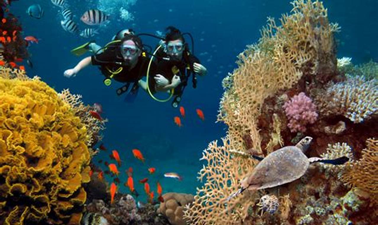 Menyelami Kekayaan Bawah Laut: 10 Spot Diving Terbaik di Indonesia!