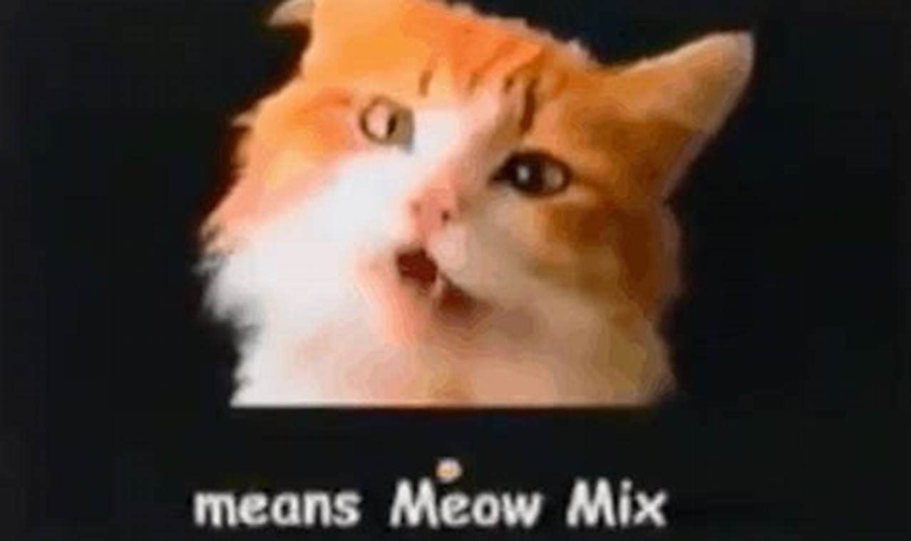 Meow Mix Commercial 2024