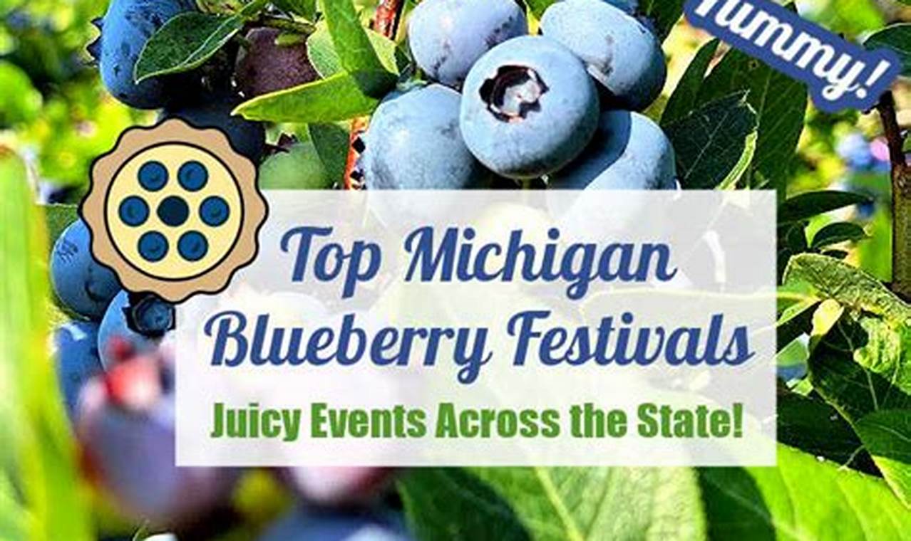 Michigan Blueberry Festival 2024