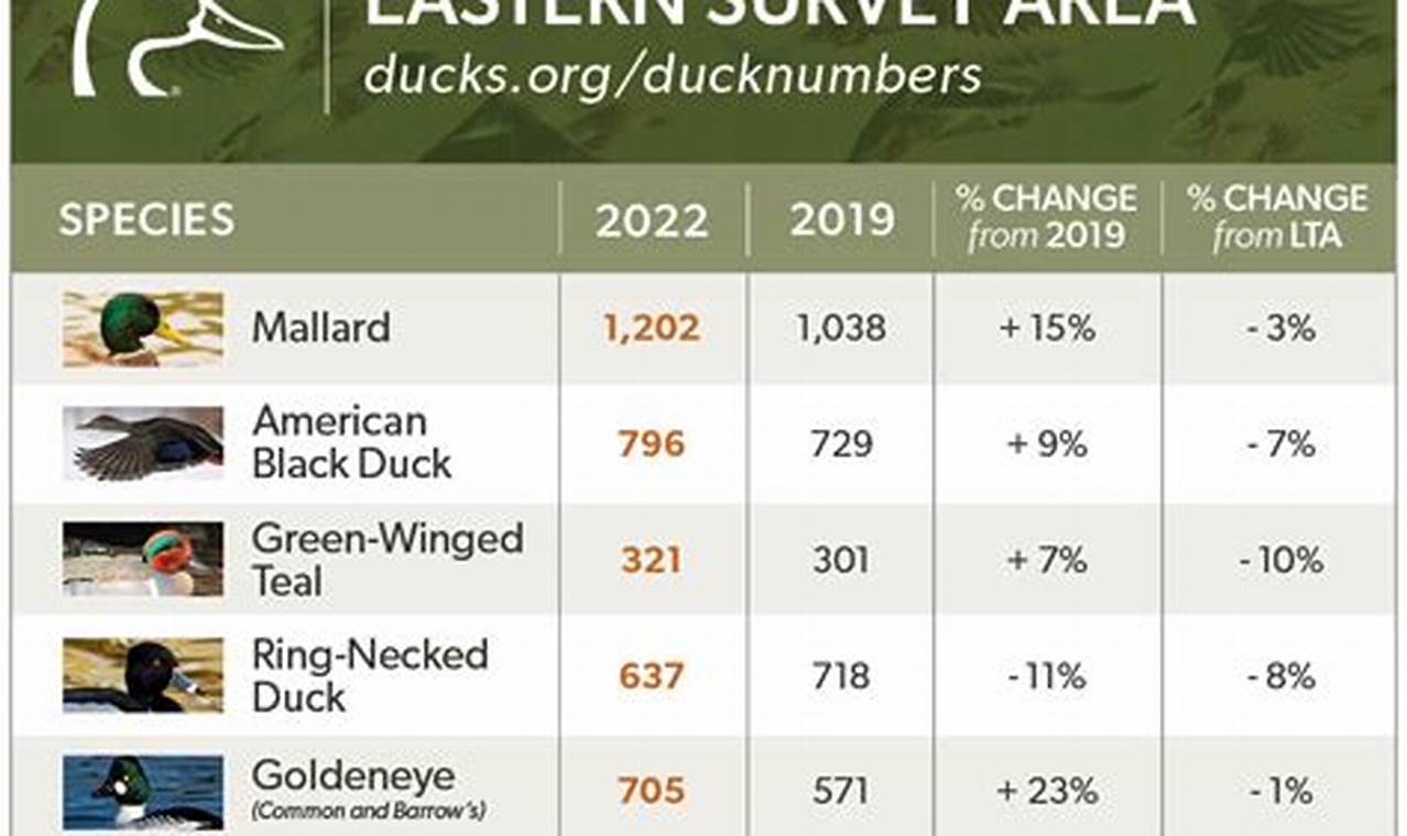 Michigan Duck Season 2024