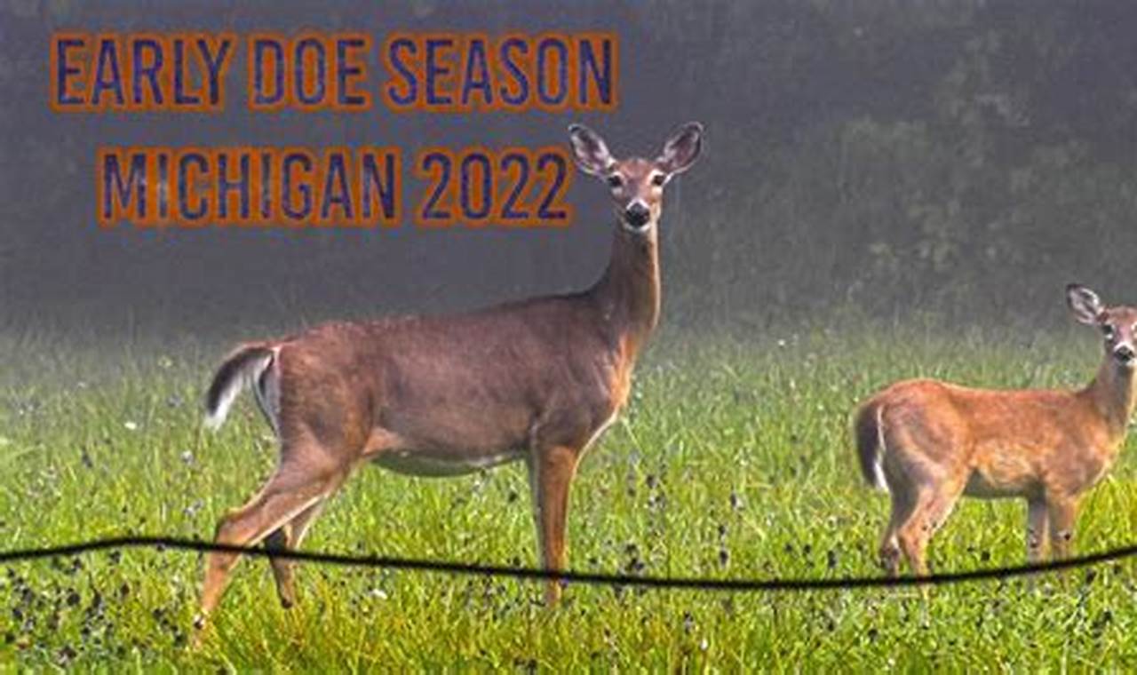 Michigan Early Doe Hunt 2024