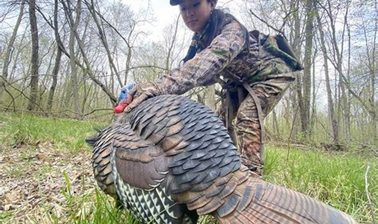 Michigan Turkey Hunting 2024