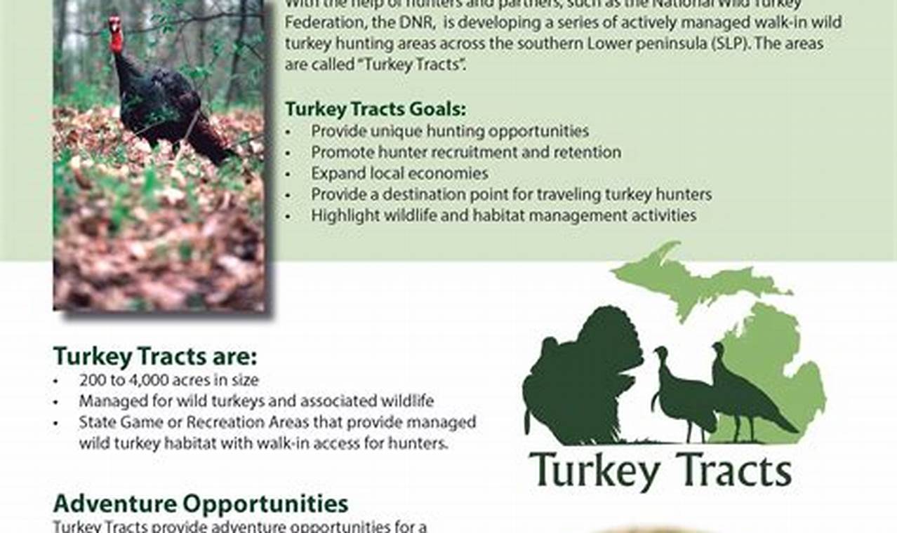 Michigan Turkey Hunting Digest 2024