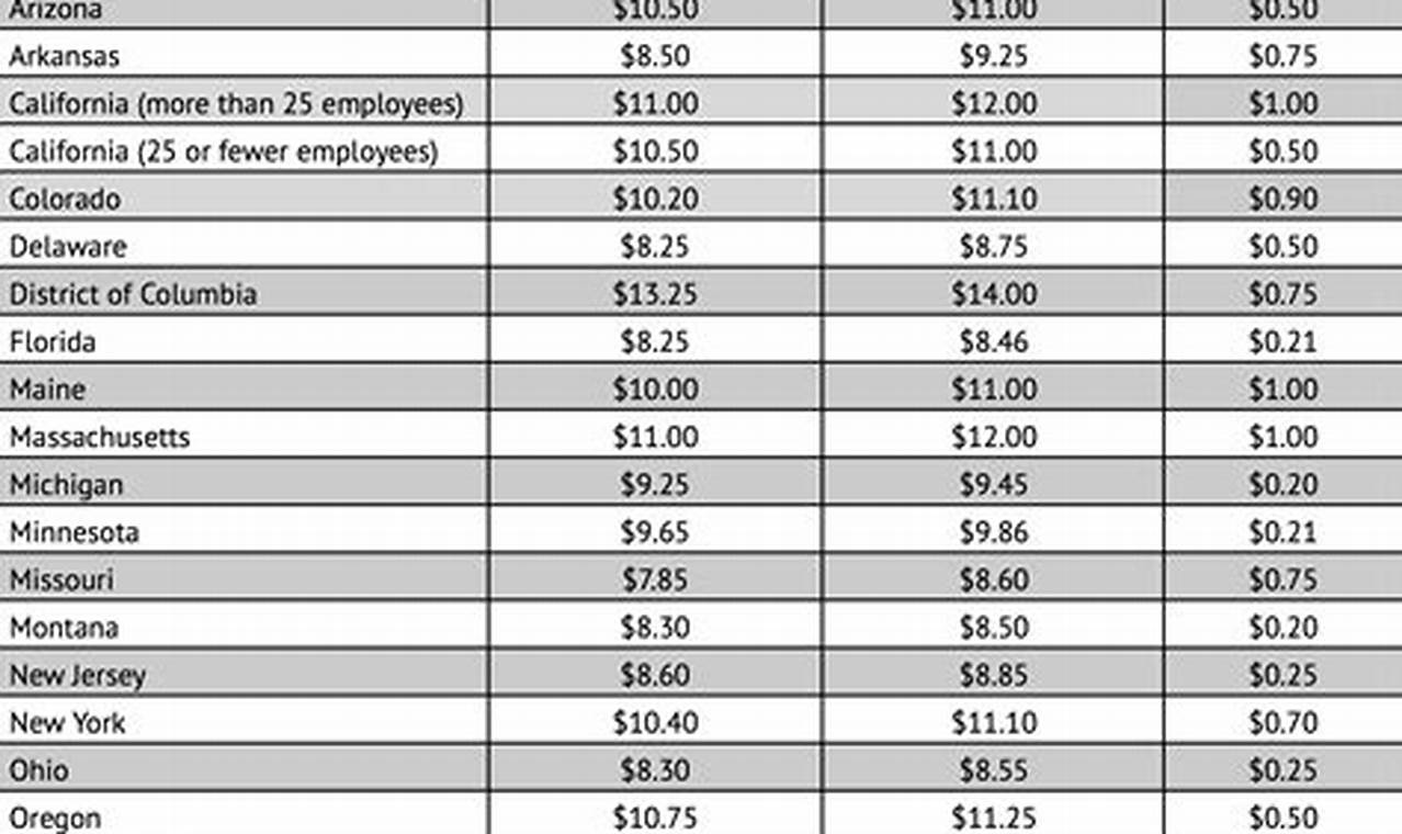 Minimum Wage 2024 Florida Chart