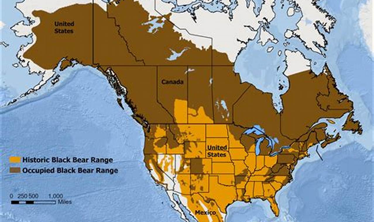 Mississippi Black Bear Map 2024
