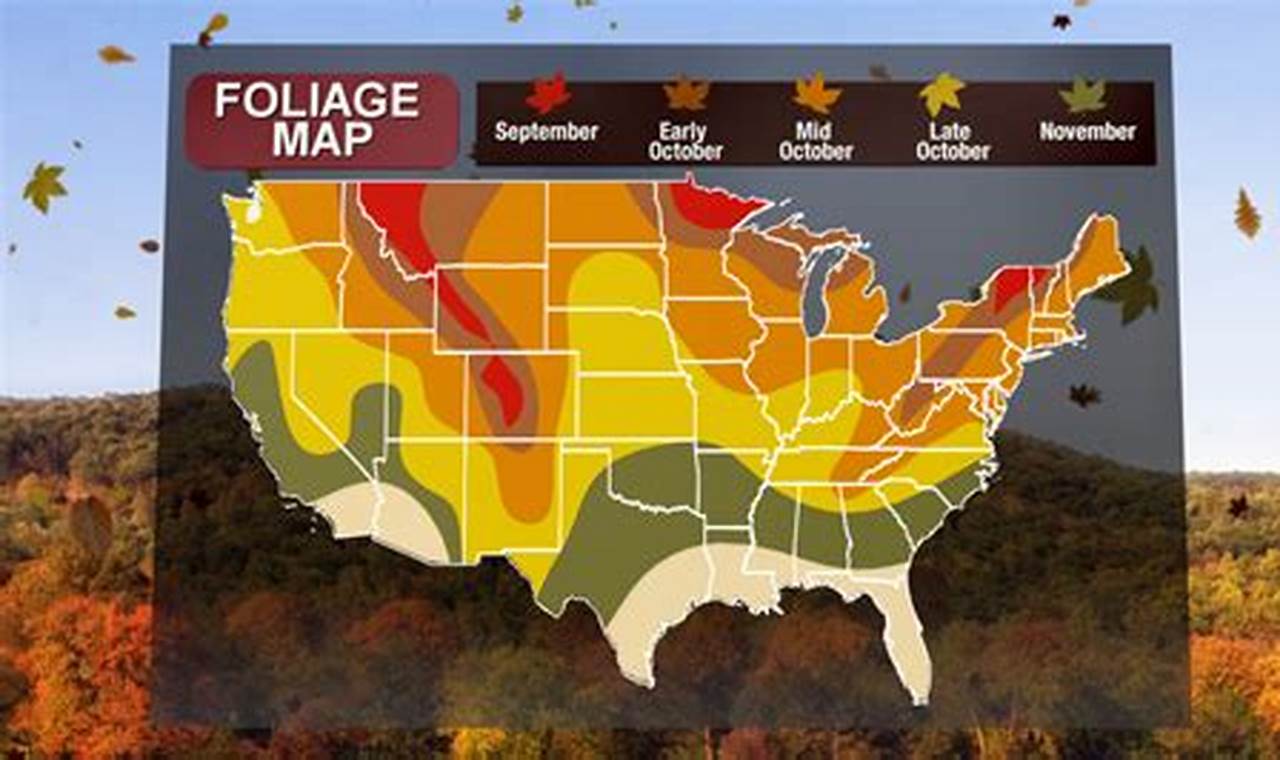 Missouri Fall Foliage 2024