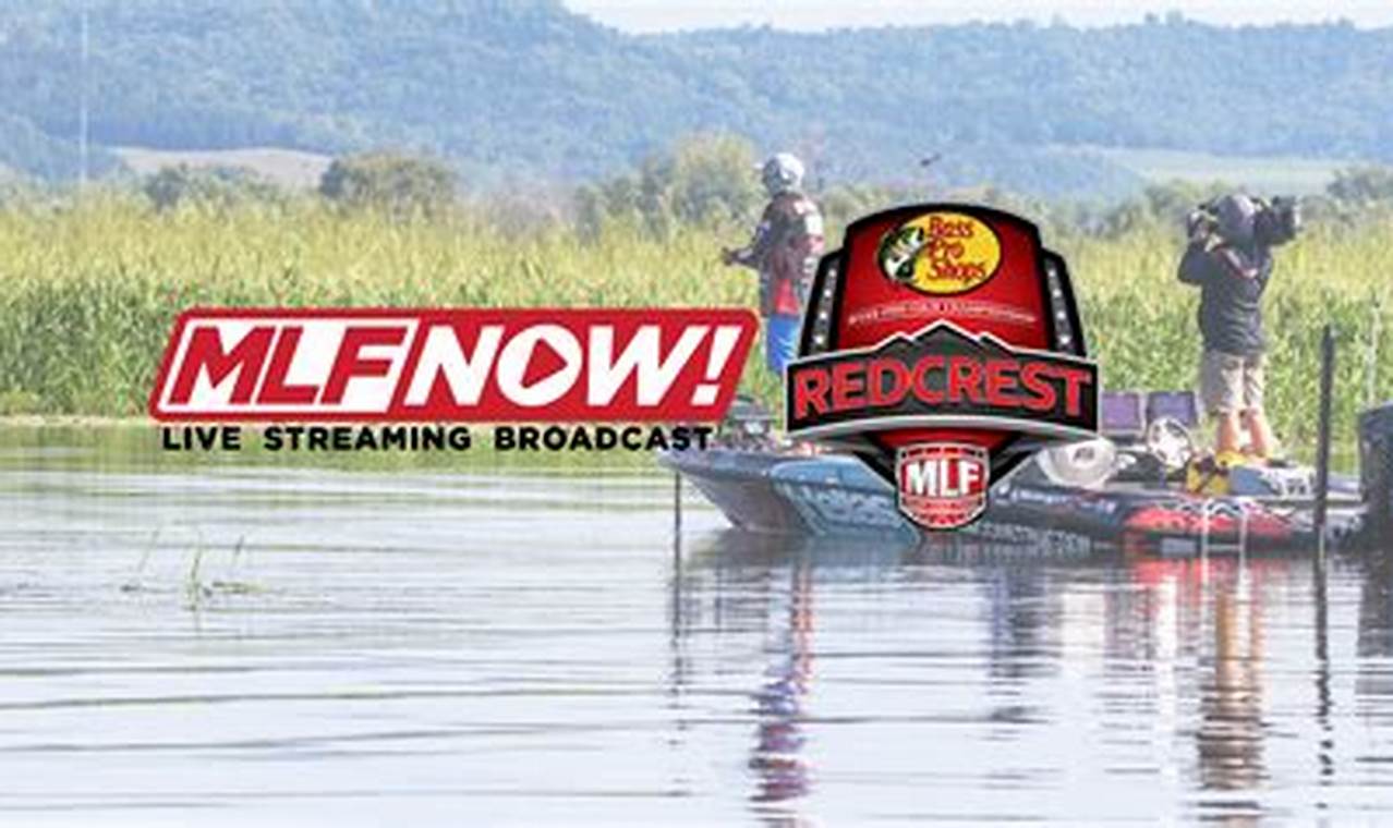 Mlf Redcrest 2024 Live