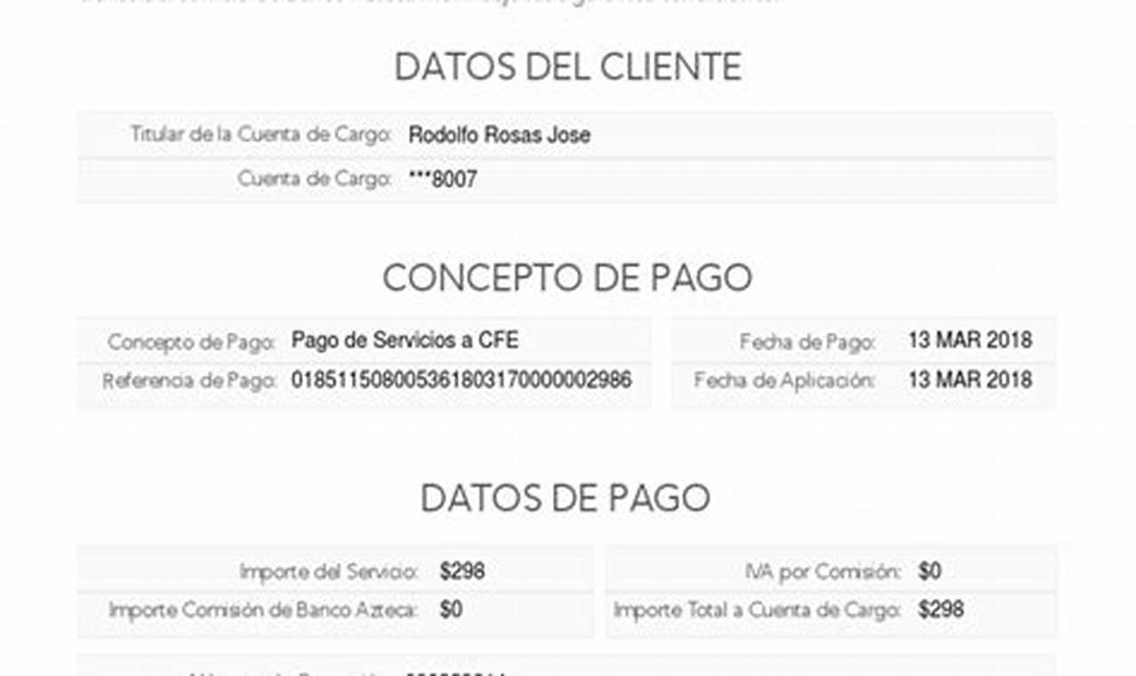 Modelo De Recibo De Pago Por Servicios Prestados