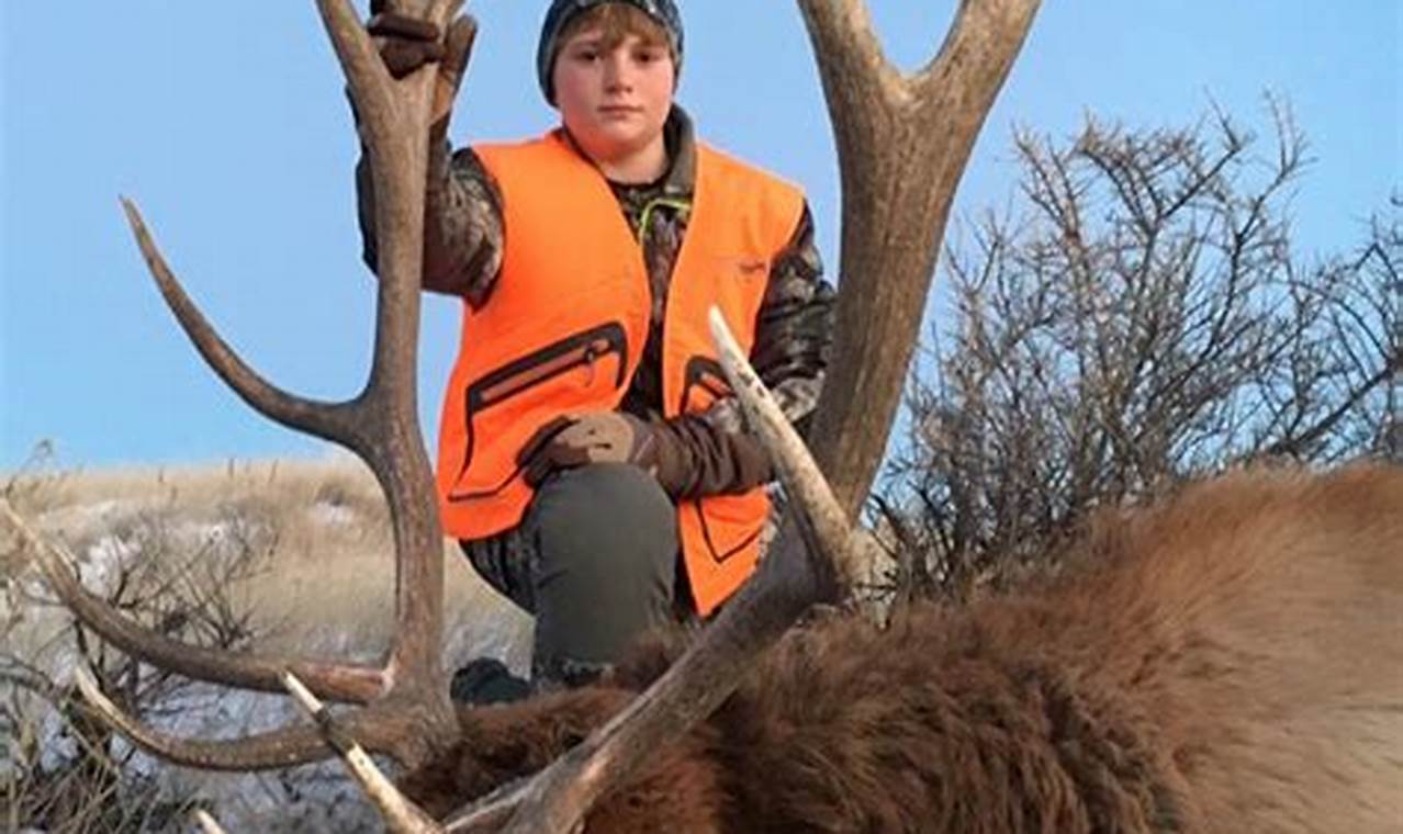 Montana 2024 Elk Season