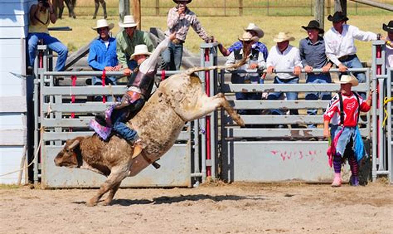 Montana Rodeo August 2024