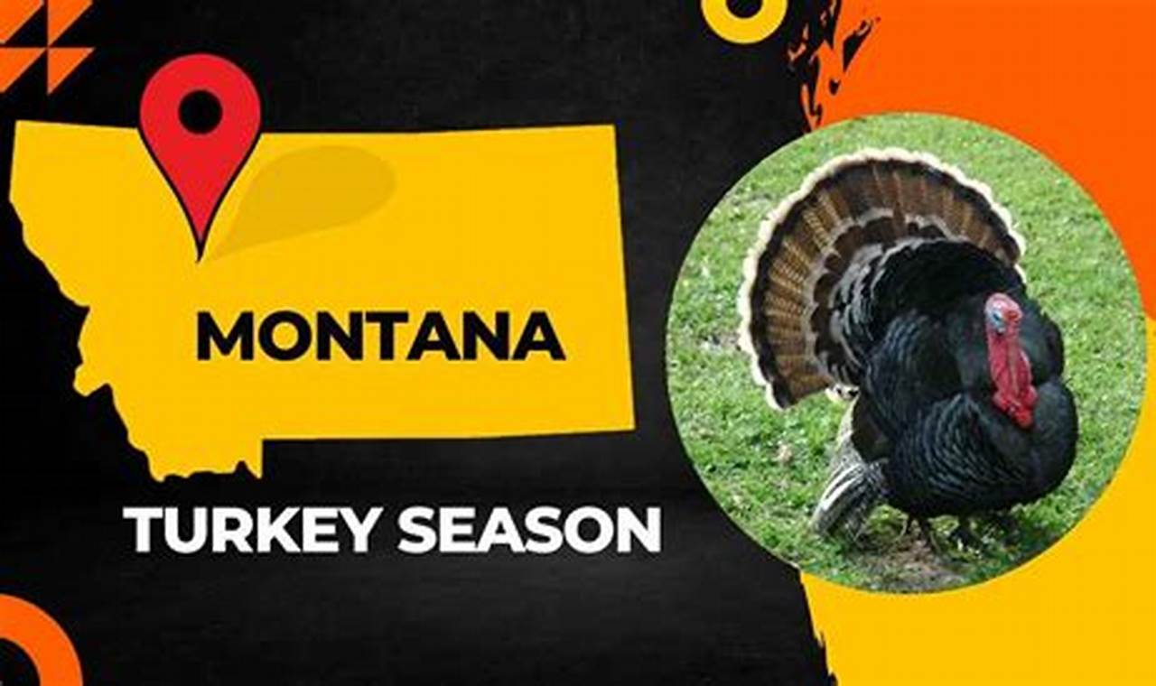 Montana Turkey Season 2024