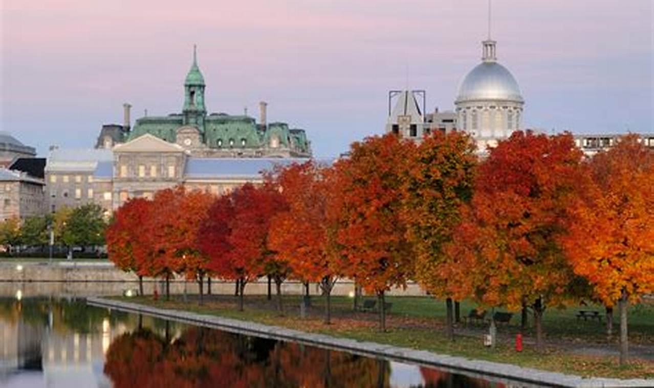 Montreal Things To Do October 2024
