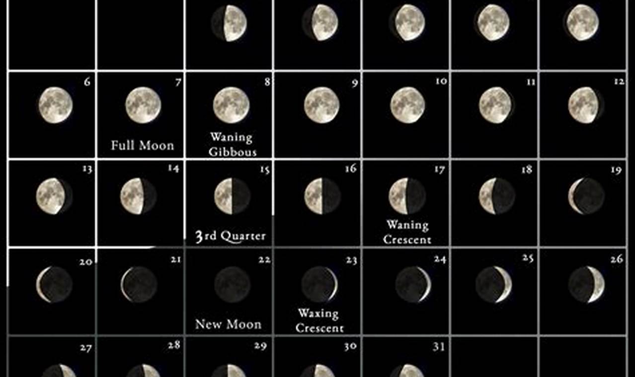 Moon Calendar 2023 2024 Election