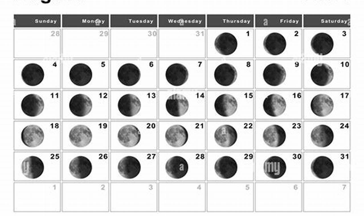 Moon On August 1 2024
