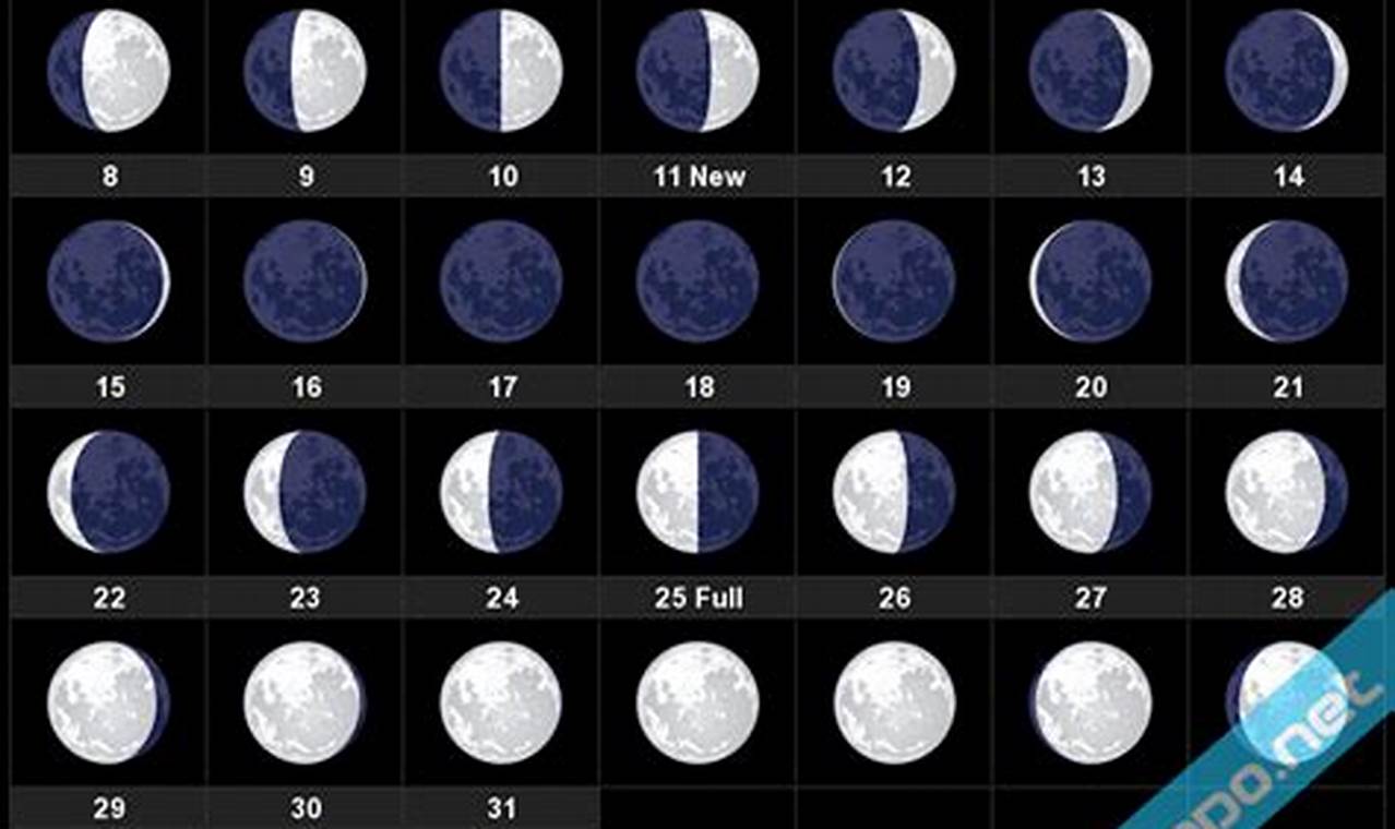 Moon Phase Tonight 2024
