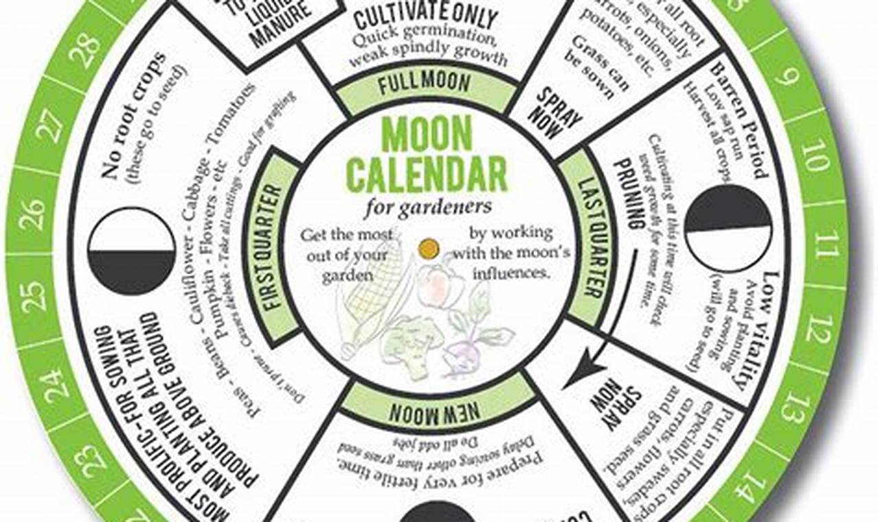 Moon Planting Calendar 2024