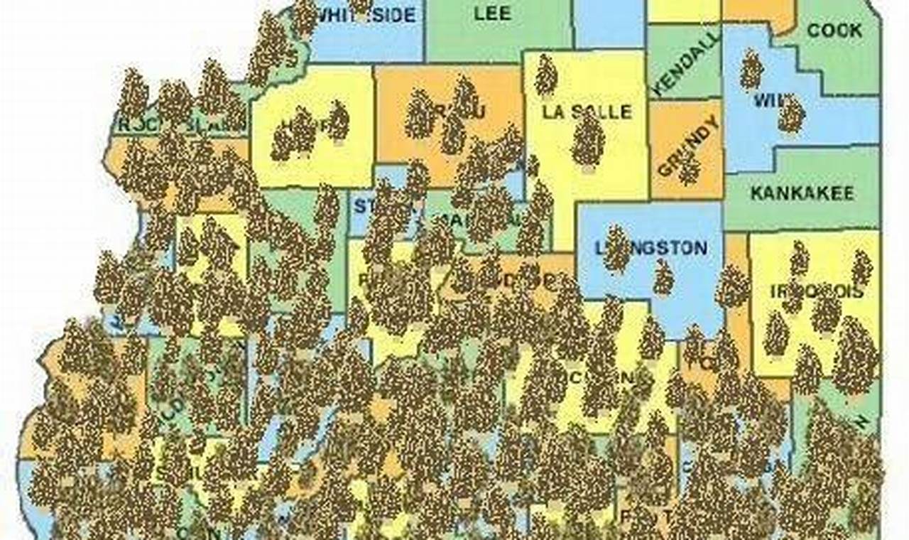 Morel Mushroom Map Illinois 2024
