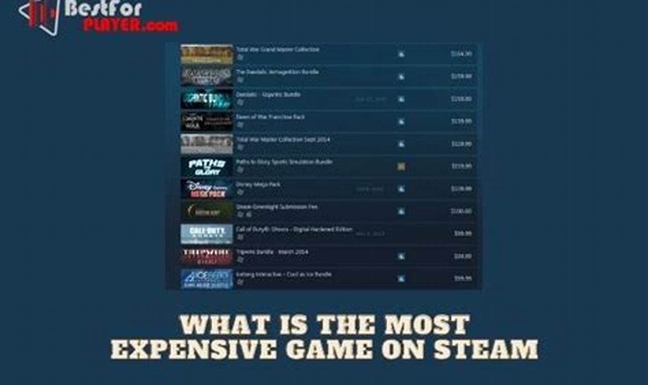 Most Expensive Game On Steam 2024