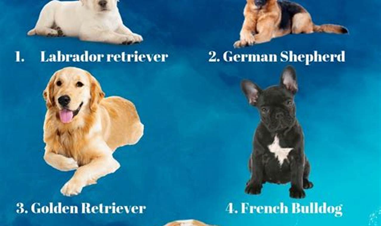 Most Popular Dog Breeds 2024 Calendar