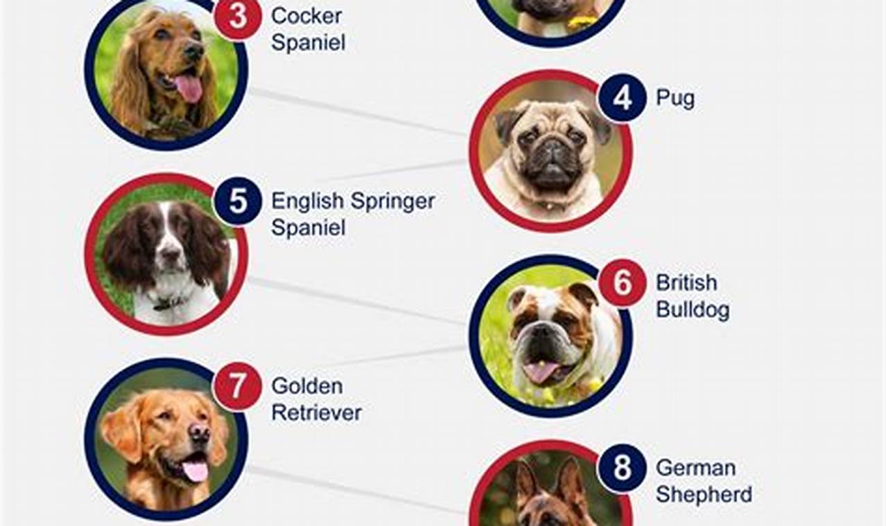 Most Popular Dog Breeds 2024 Election