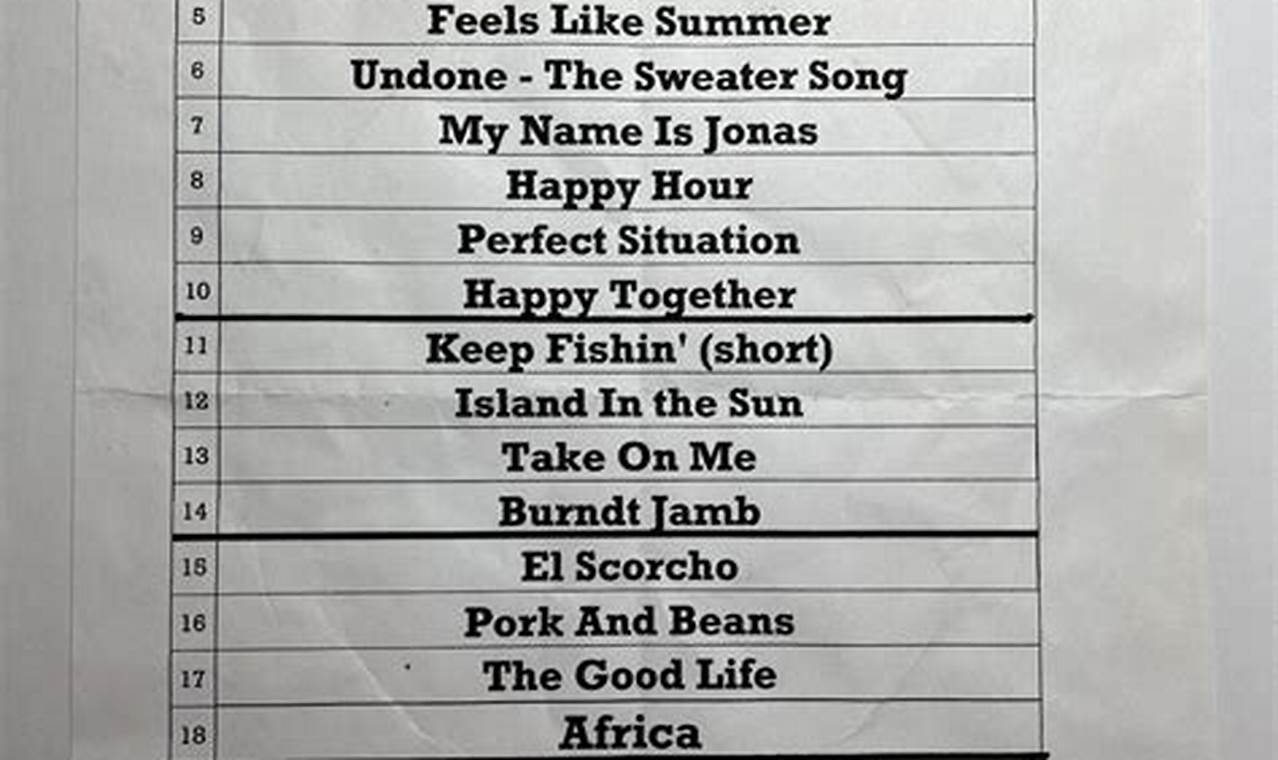 Mt Joy 2024 Setlist