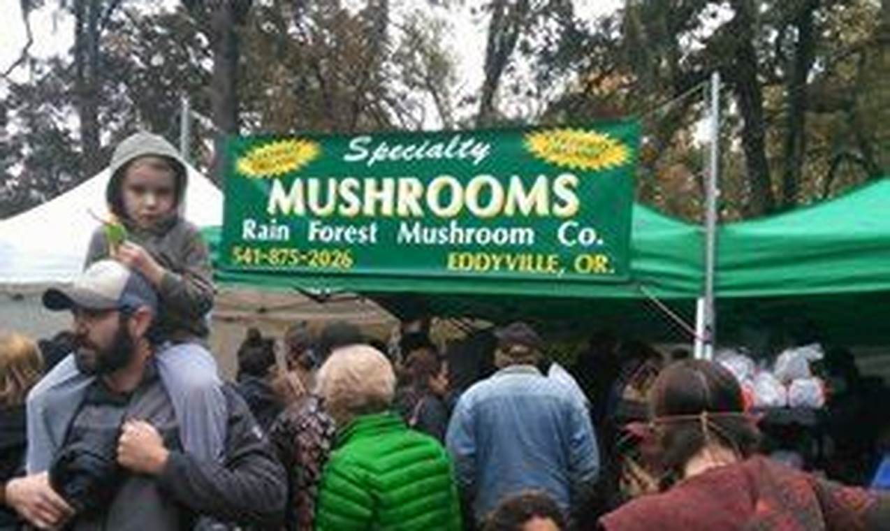 Mt Pisgah Mushroom Festival 2024