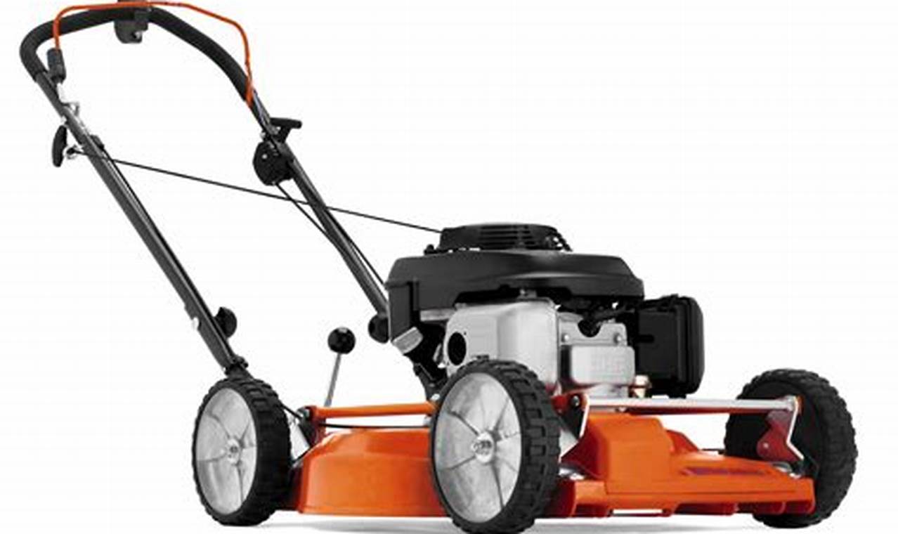 Unveil the Secrets of Mulching Lawn Mowers: Discoveries and Insights