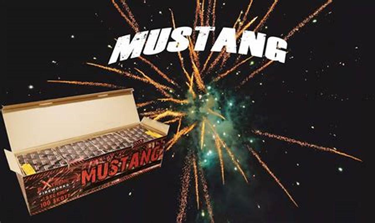 Mustang Firework Show 2024