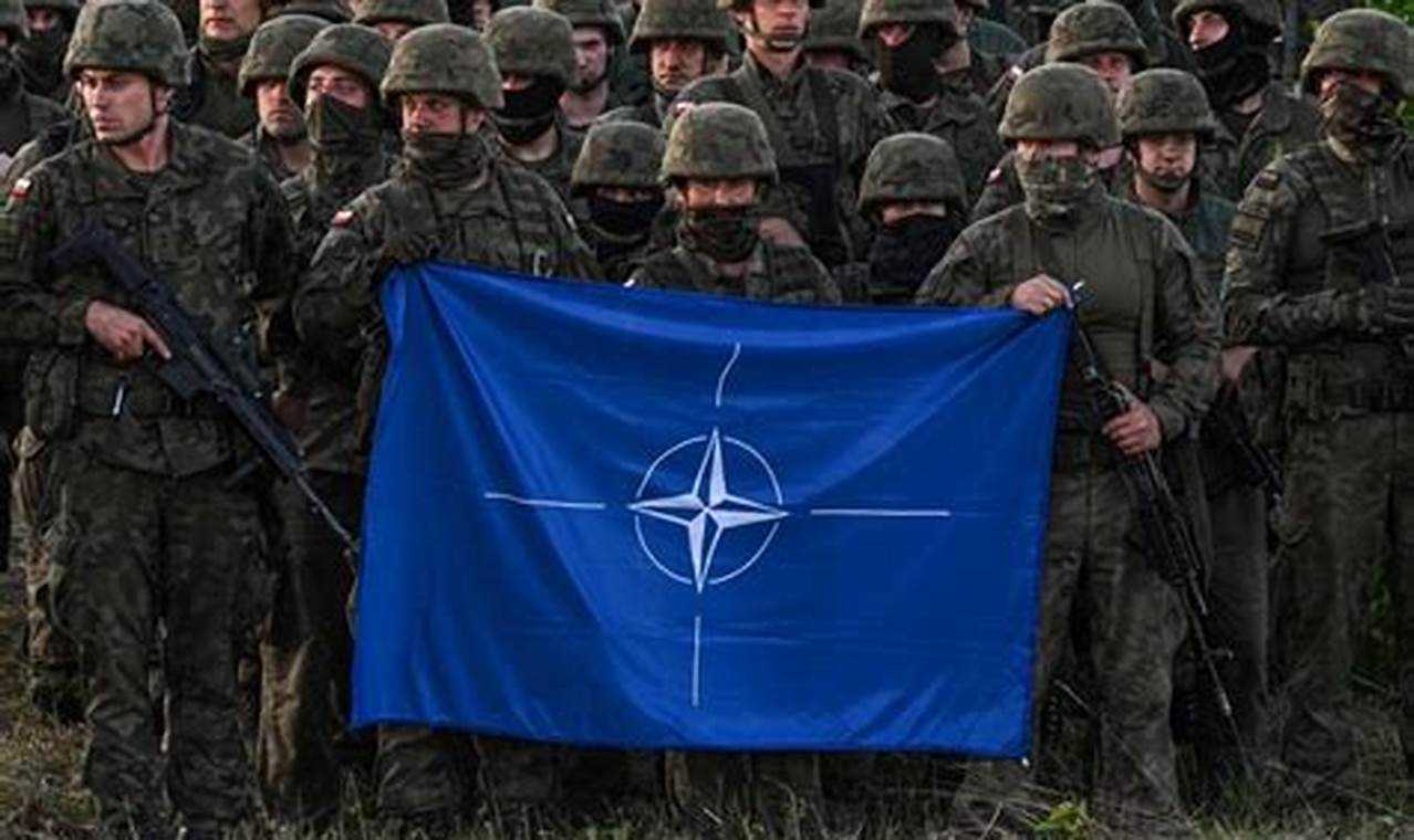 NATO's Decisive Response to the Ukraine Conflict: Breaking News Updates