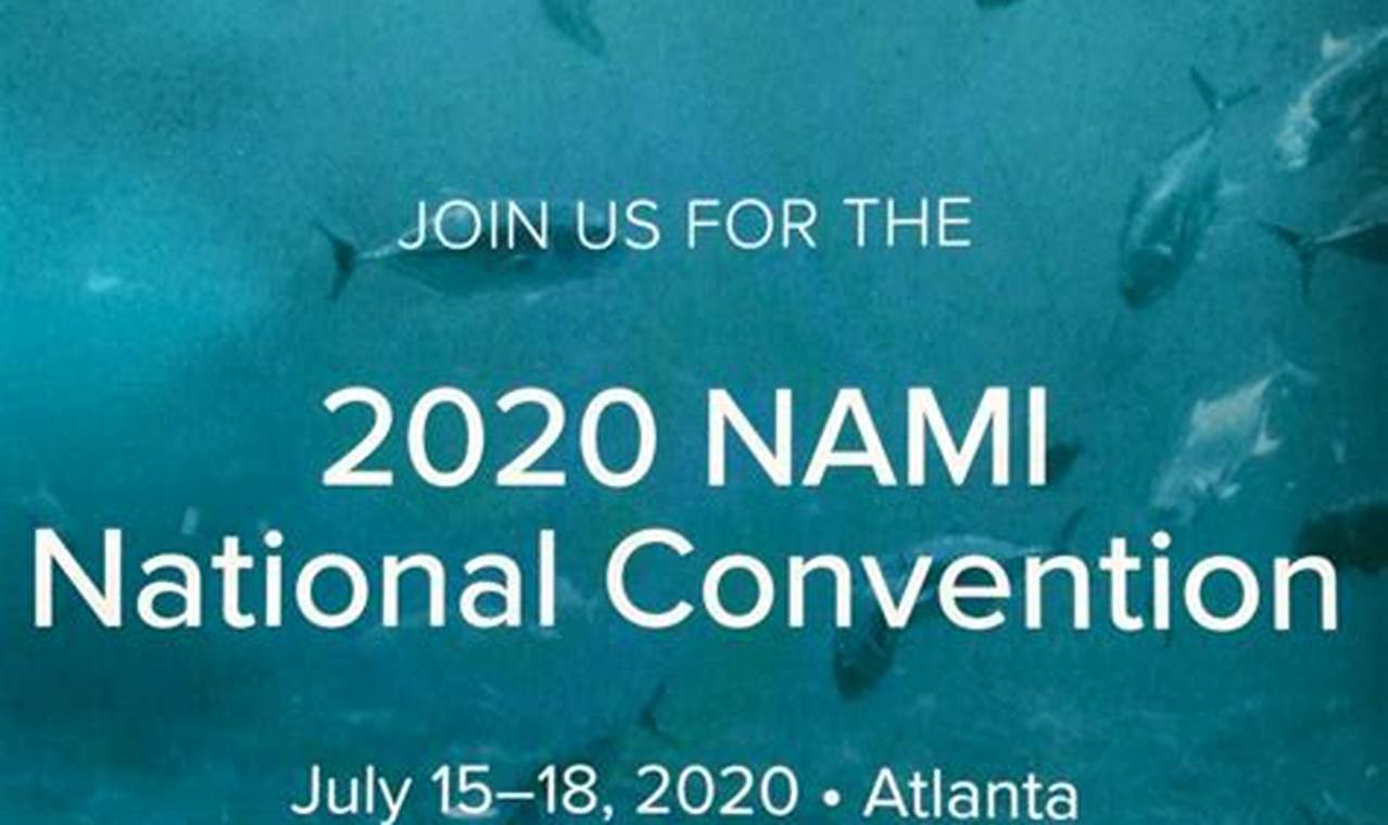 Nami 2024 Conference
