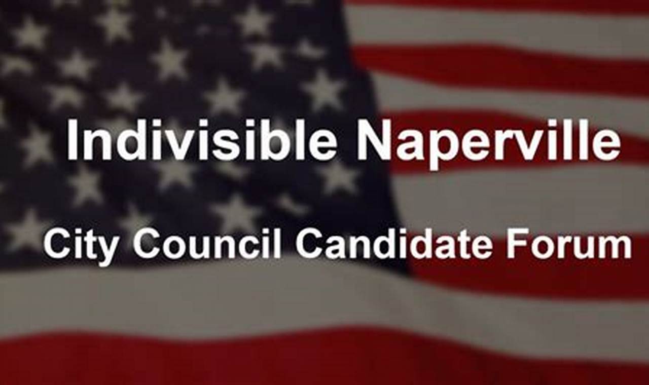 Naperville Elections 2024 Results